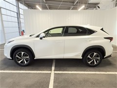 NX300h バージョンL