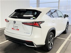 NX300h バージョンL