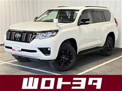 ランクルプラドTX L  BL ED