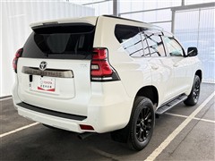 ランクルプラドTX L  BL ED