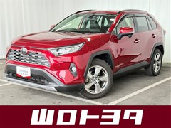 RAV4 G