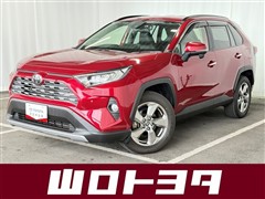 RAV4 G