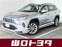 RAV4 G Zパッケージ