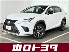 NX300h Fスポーツ