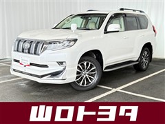 ランドクルーザープラド TZ-G