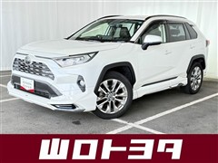 RAV4 G Zパッケージ