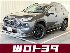 RAV4 アドベンチャー オフロート