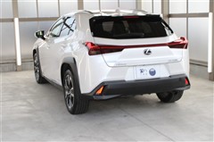 UX250h バージョンL