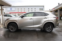 NX300h クール&ブライト