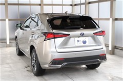 NX300h クール&ブライト