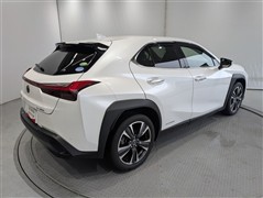 UX250h Ver.L