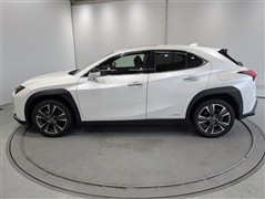 UX250h Ver.L