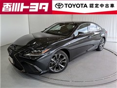 ES300h F SPORT