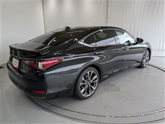 ES300h F SPORT