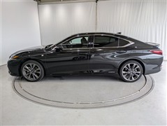 ES300h F SPORT