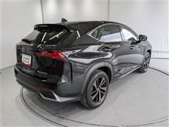 NX300h バージョンL