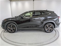 NX300h バージョンL