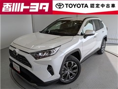 #RAV4 G