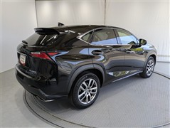 #NX200t Iパッケージ
