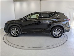 #NX200t Iパッケージ