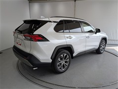 #RAV4 G