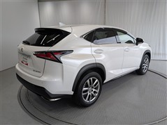 NX200t I package