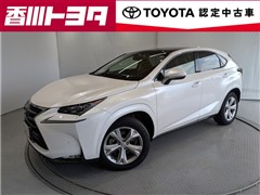 NX300h バージョンL