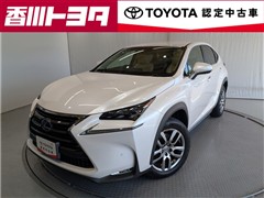 NX300h バージョンL