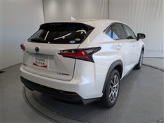 NX300h バージョンL