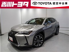 UX250h バージョンL