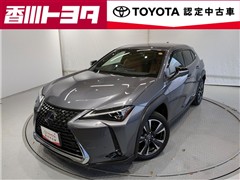 UX250h バージョンC