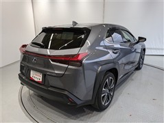 UX250h バージョンC