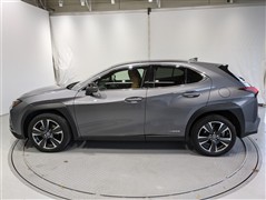 UX250h バージョンC