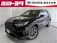 #RAV4 G Zパッケージ