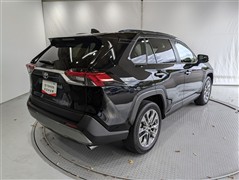 #RAV4 G Zパッケージ