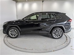 #RAV4 G Zパッケージ