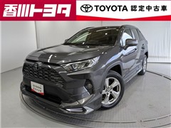 RAV4 G