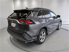 RAV4 G