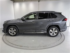 RAV4 G