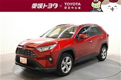 RAV4 G