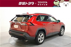 RAV4 G