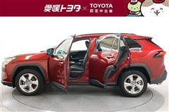 RAV4 G