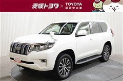 ランドクルーザープラド TZ-G