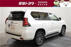 ランドクルーザープラド TZ-G