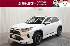 RAV4 G