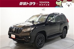 ランクルプラドTX L マットBLK