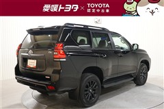 ランクルプラドTX L マットBLK