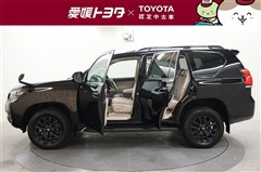 ランクルプラドTX L マットBLK