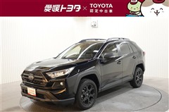 RAV4アドベンチャーオフロード2