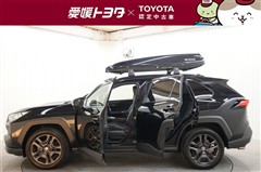 RAV4 アドベンチャー